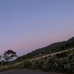 Meet your Posher, Lupita